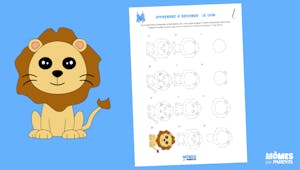 Apprendre à dessiner : le lion