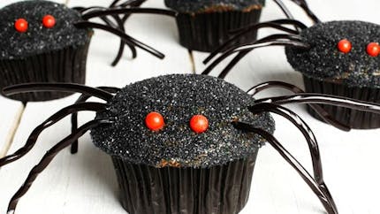 Muffins araignées au chocolat