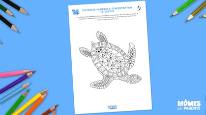 Coloriage concentration Tortue