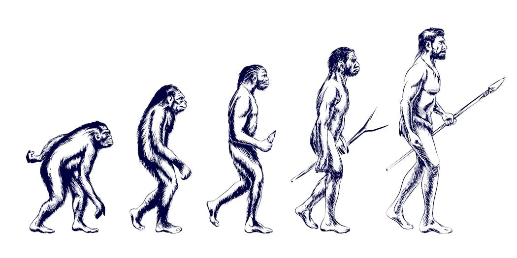 Evolution de l'homme au cours de la Préhistoire