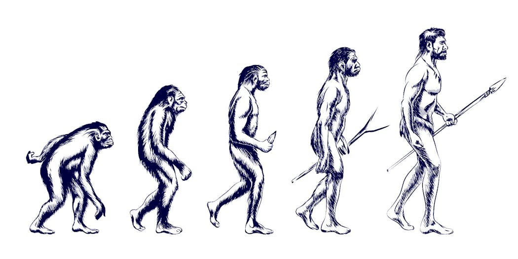L Homo Habilis Qui Etait Notre Lointain Ancetre Momes Net L Homo Habilis Qui Etait Notre Lointain Ancetre Momes Net