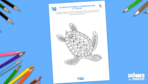 Coloriage patience & concentration : la tortue