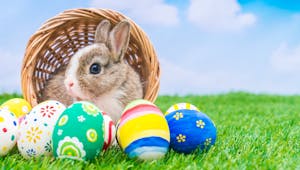 Cloches de Pâques, lapin de Pâques, œufs... pourquoi ces traditions ?