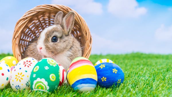 Cloches de Pâques, lapin de Pâques, œufs... pourquoi ces traditions ?