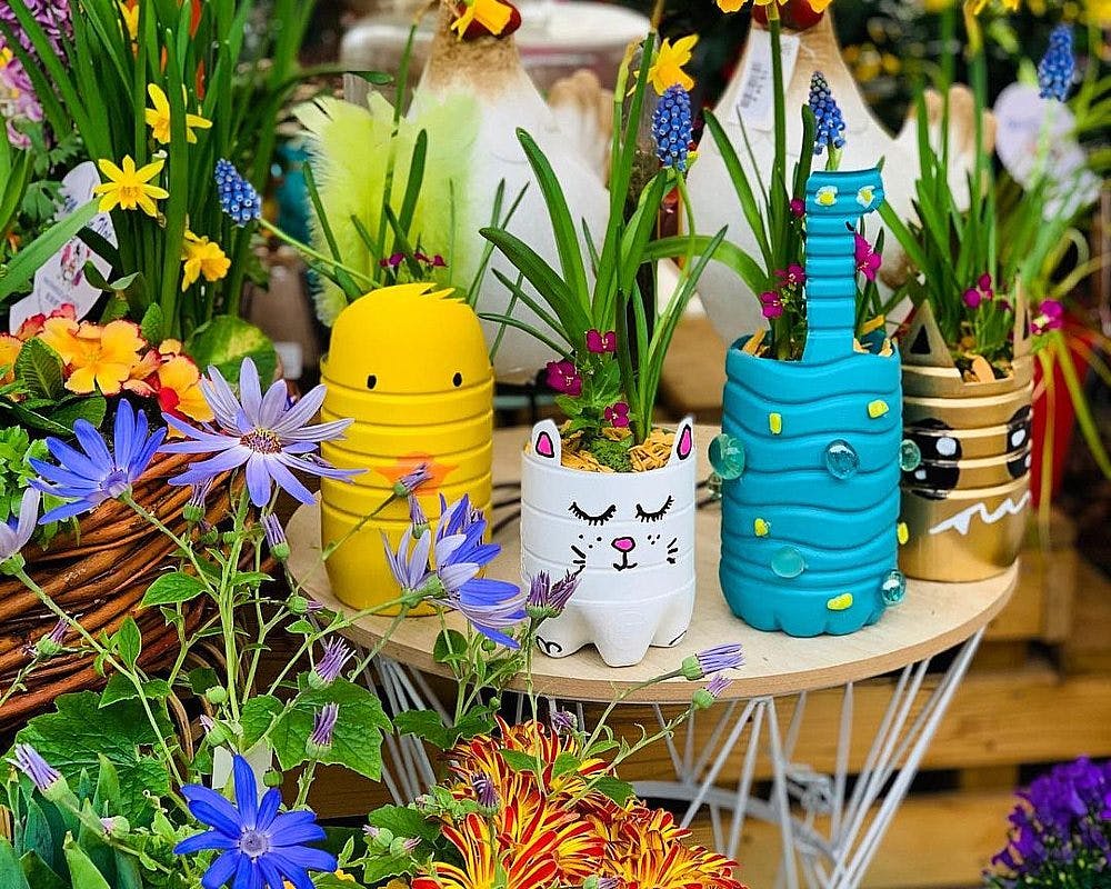 mini  pots de fleurs faits à partir de bouteilles d'eau