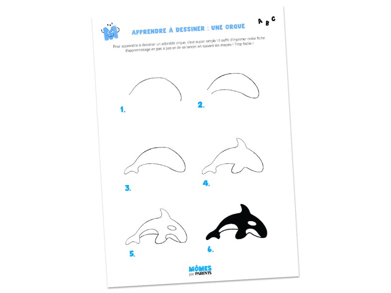 Fiche à imprimer - Apprendre à dessiner : une orque