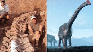 Dinosaure : un squelette découvert en Argentine appartiendrait au plus grand dino jamais retrouvé !
