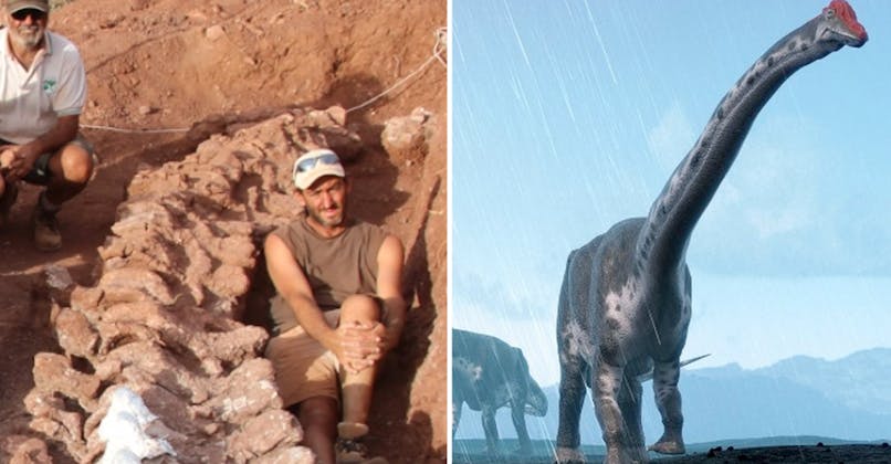 découverte en Argentine du squelette d'un colossal dinosaure titanosaure