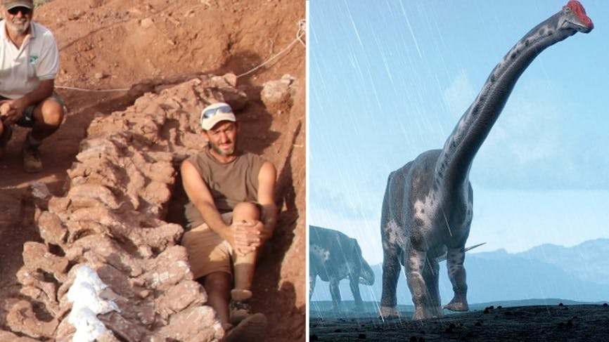 découverte en Argentine du squelette d'un colossal dinosaure titanosaure