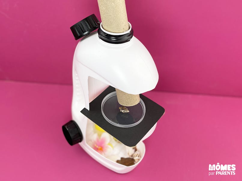 Jouer avec le microscope