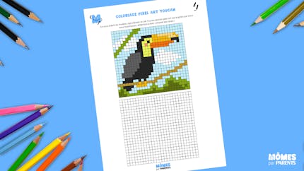 Coloriage Pixel Art Toucan