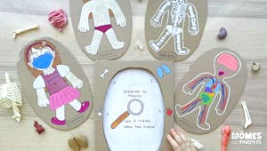 Jeu cherche et trouve : découvrir le corps humain (inspiration Montessori)