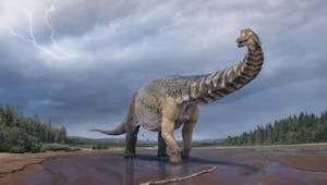 Dinosaure : une nouvelle espèce découverte en Australie !