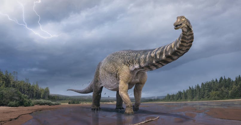 nouvelle espèce de dinosaure découverte en Australie