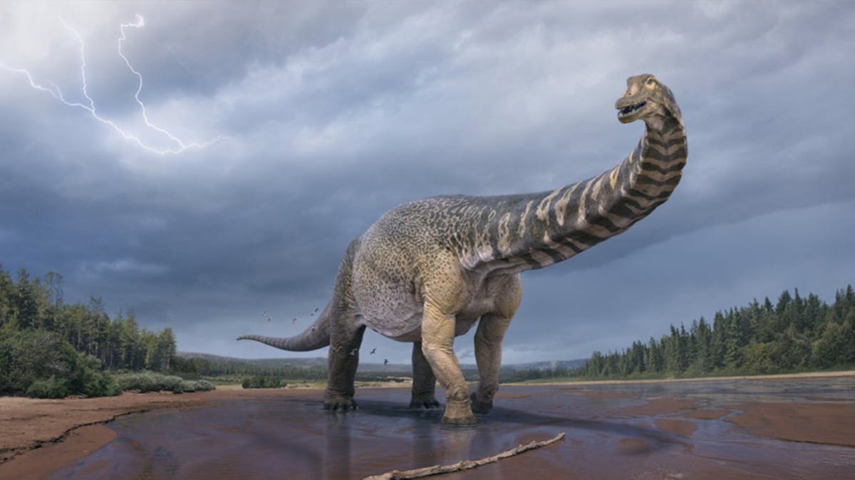 Un nouveau dinosaure découvert au Laos
