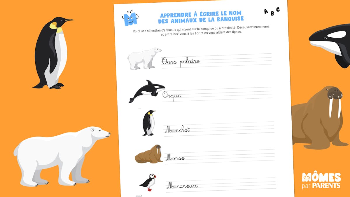 Apprendre à écrire les animaux de la banquise