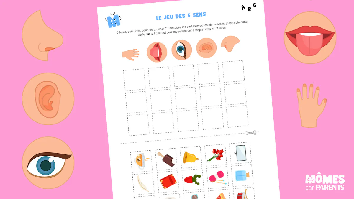 Jeux Sur Les 5 Sens Adulte