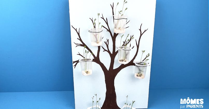 DIY : L'arbre qui pousse