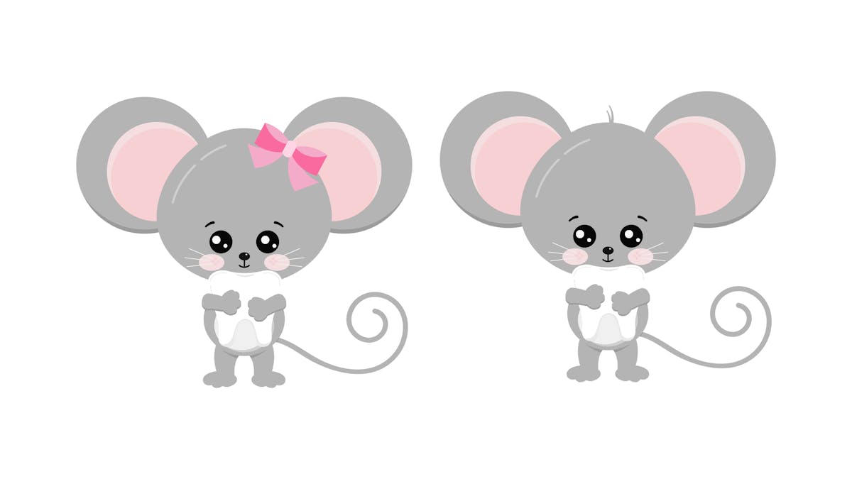 L Histoire De La Petite Souris Des Dents Momes Net Momes Net L Histoire De La Petite Souris Des Dents Momes Net Momes Net