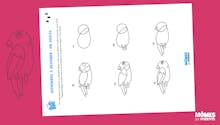 Comment dessiner un petit oiseau sur une branche ?