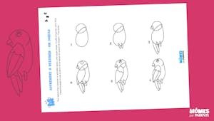 Apprendre à dessiner : un oiseau