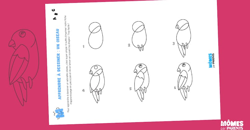 Apprendre à dessiner un oiseau