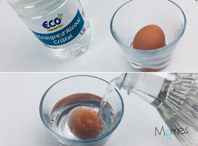 STEAM oeuf rebondissant – Maman des fauves STEAM oeuf rebondissant – Maman des fauves