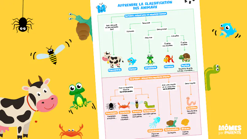 Découvrez la classification des êtres vivants : les animaux | MOMES