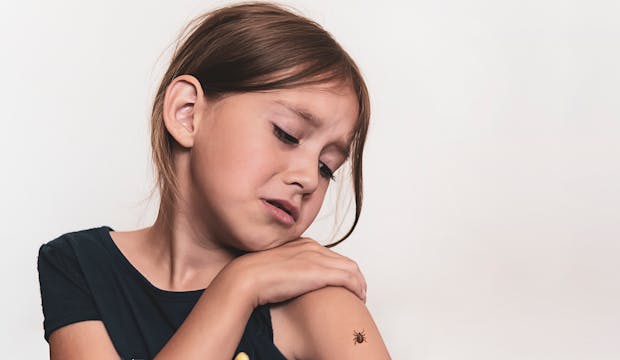 enfant mordu par punaise de lit
