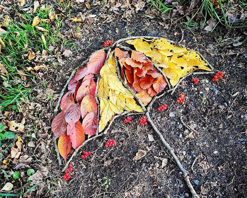 parapluie fait avec des jolies feuilles