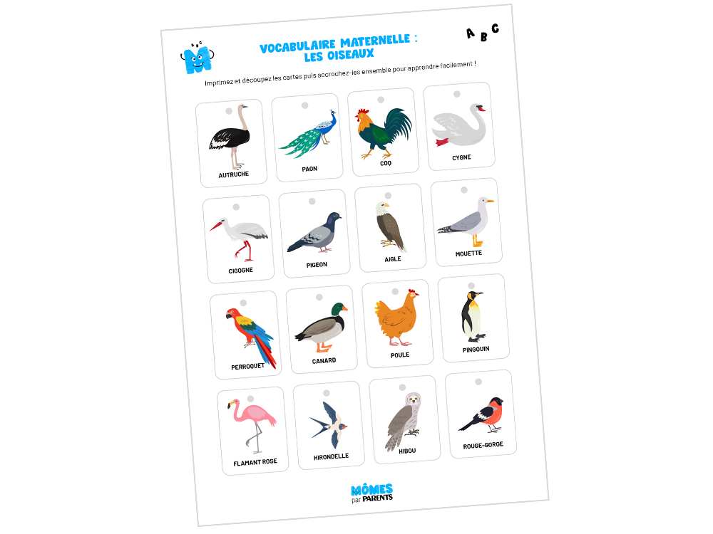 Maternelle nos petites cartes de vocabulaire pour apprendre les noms des oiseaux MOMES