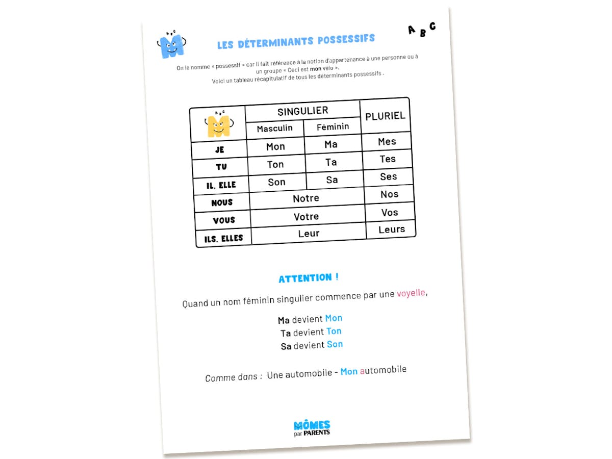 Quels Sont Les Déterminants Possessifs Fiche de grammaire - Les déterminants possessifs | MOMES