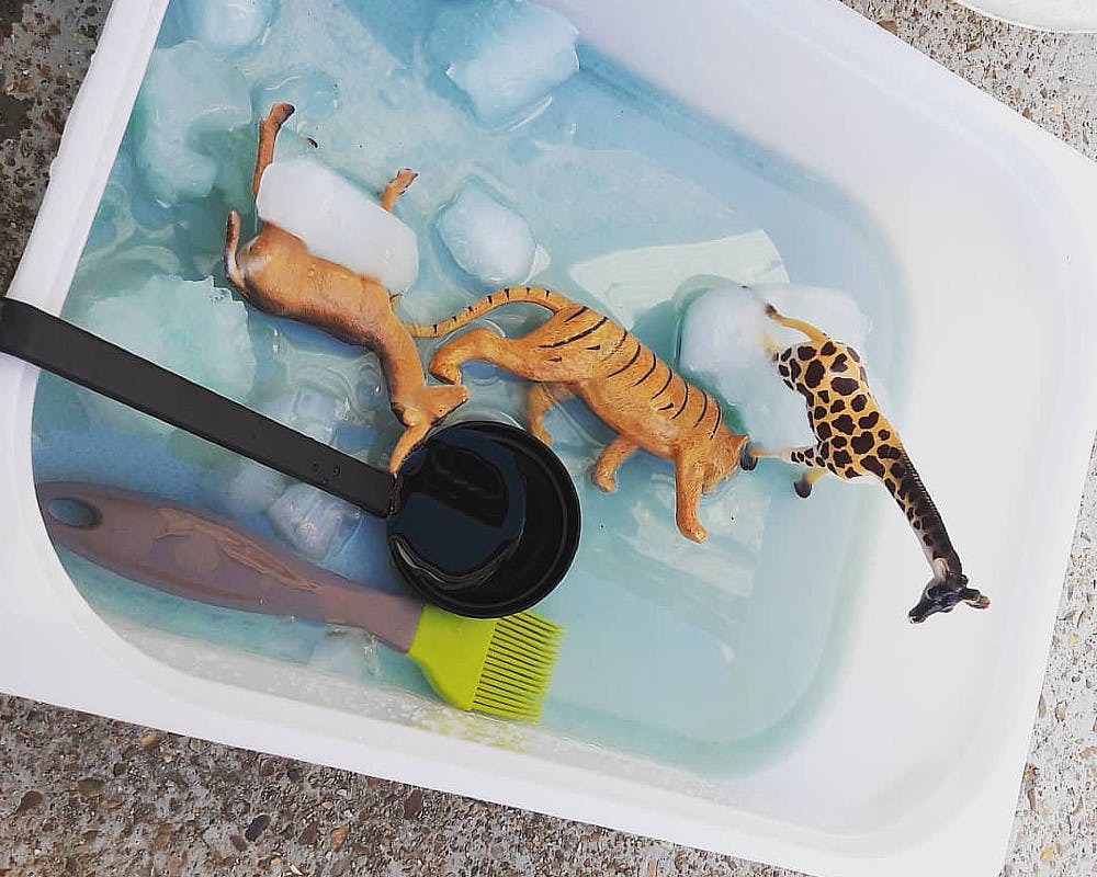 animaux en plastique pris dans la glace