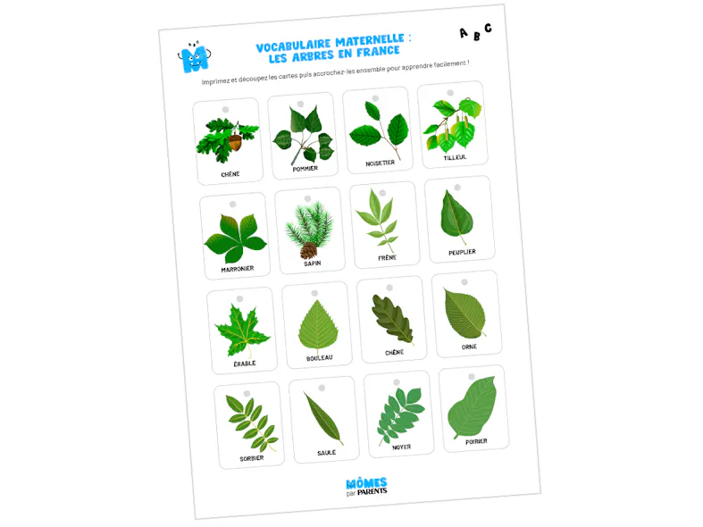 Maternelle : nos petites cartes de vocabulaire pour apprendre les noms ...