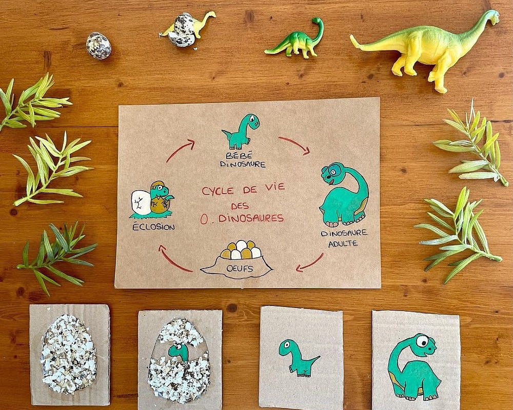 Le cycle de la vie des dinosaures