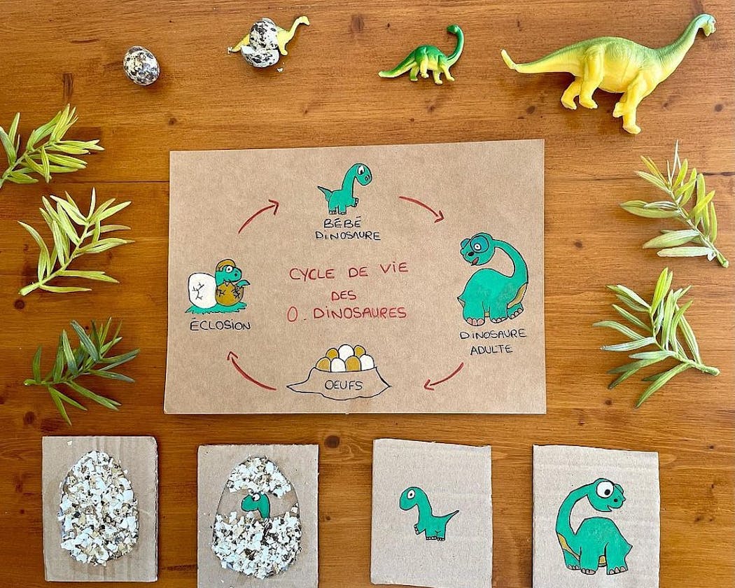 Les dinosaures, activités pour enfants.