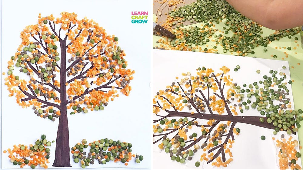 arbre d'automne en lentilles