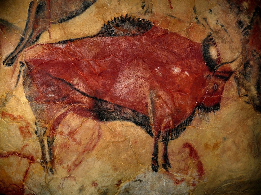 Un bison dessiné sur un mur de la grotte d'Altamira, en Espagne