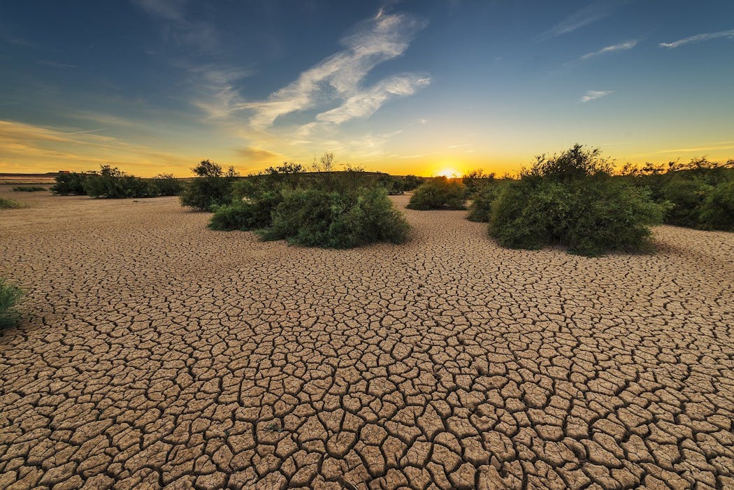 sol déshydraté d'un paysage désertique