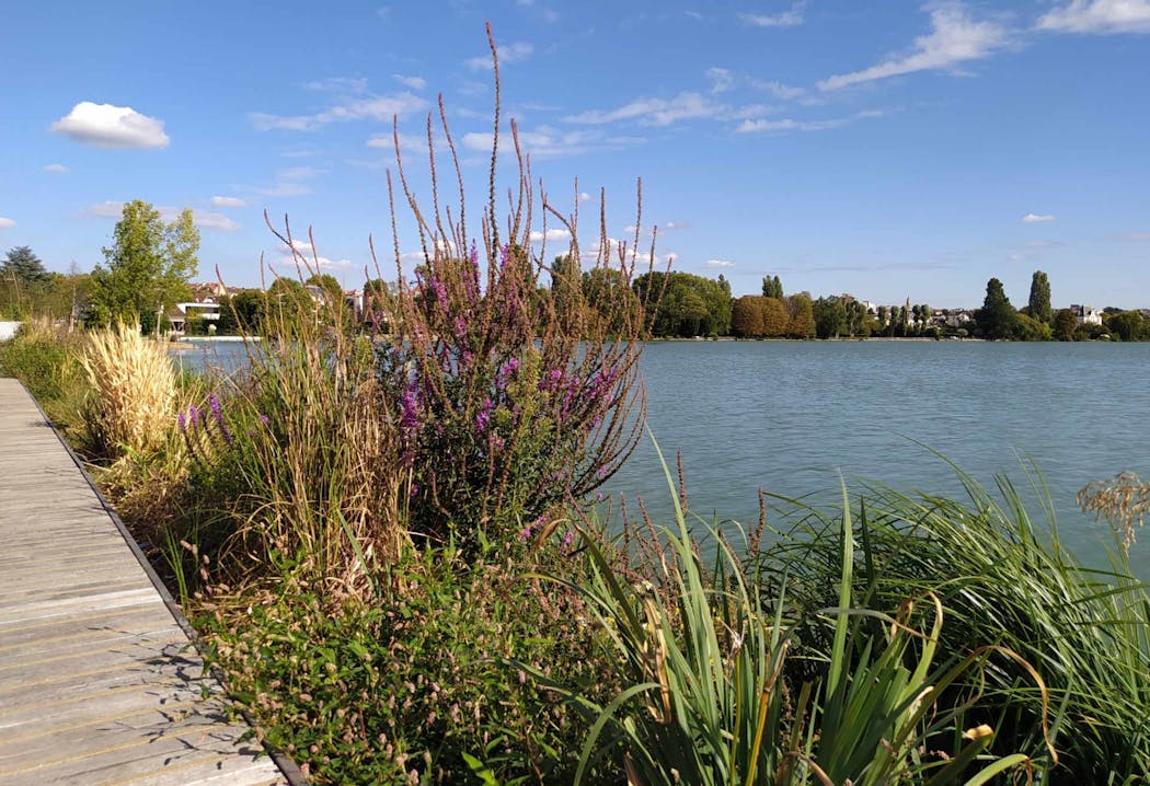 Le lac d'Enghien