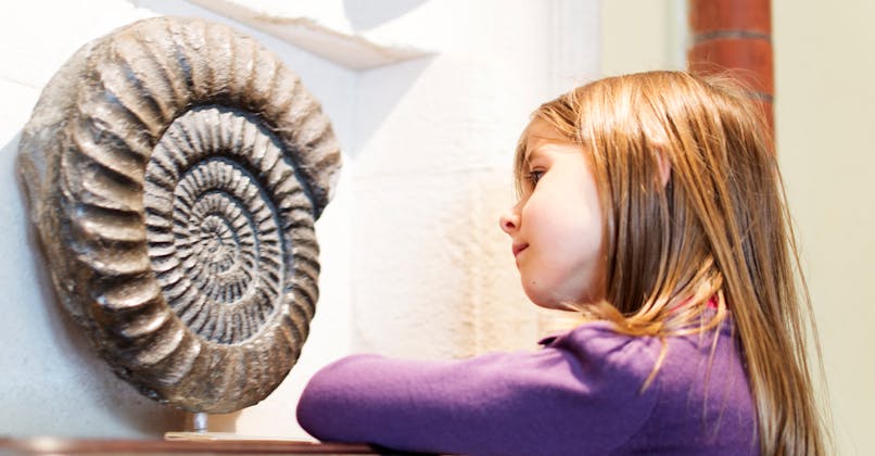 enfant-fossile-musée