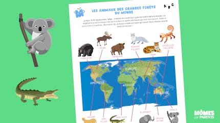 Les animaux des grandes forêts du monde