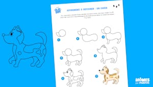 Apprendre à dessiner : un petit chien