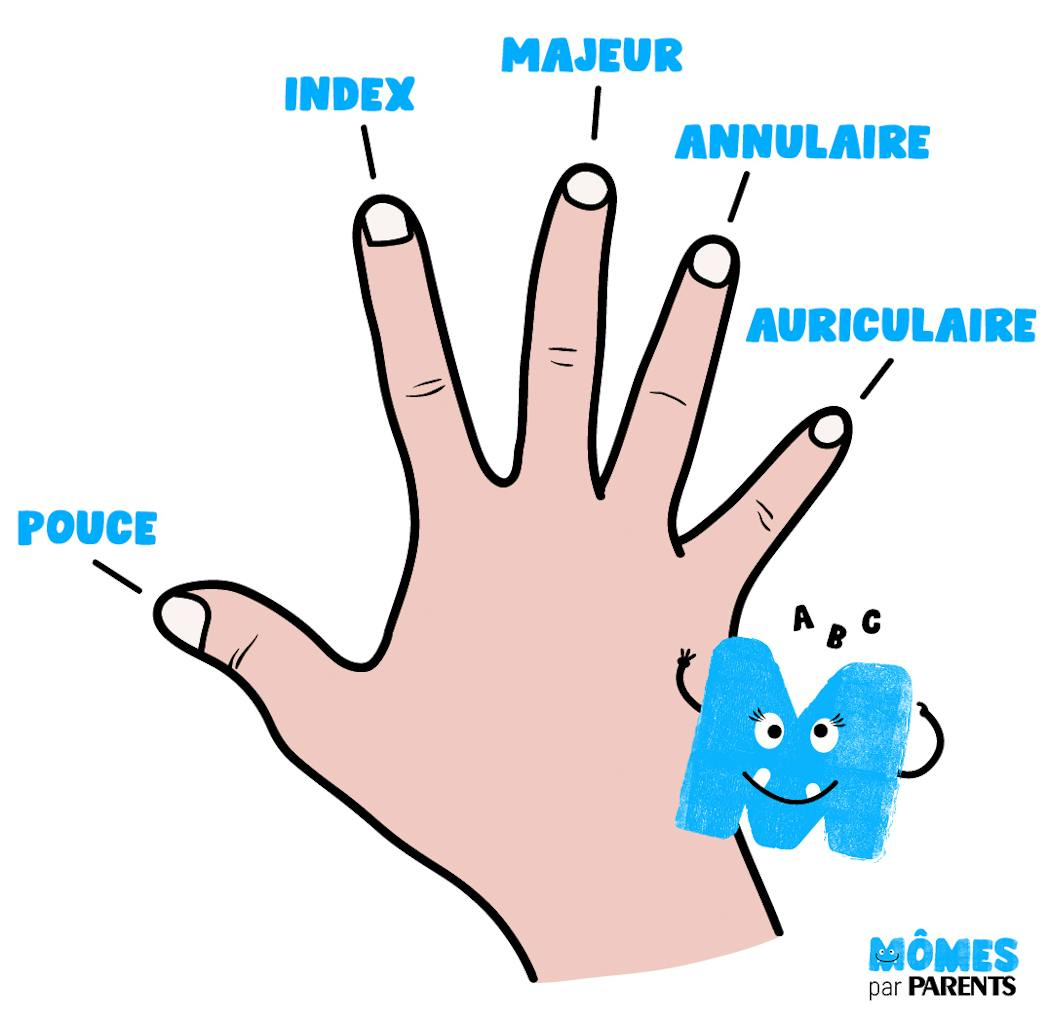 Quels sont les noms des cinq doigts de la main ? MOMES Quels sont les noms des cinq doigts de la main ? MOMES