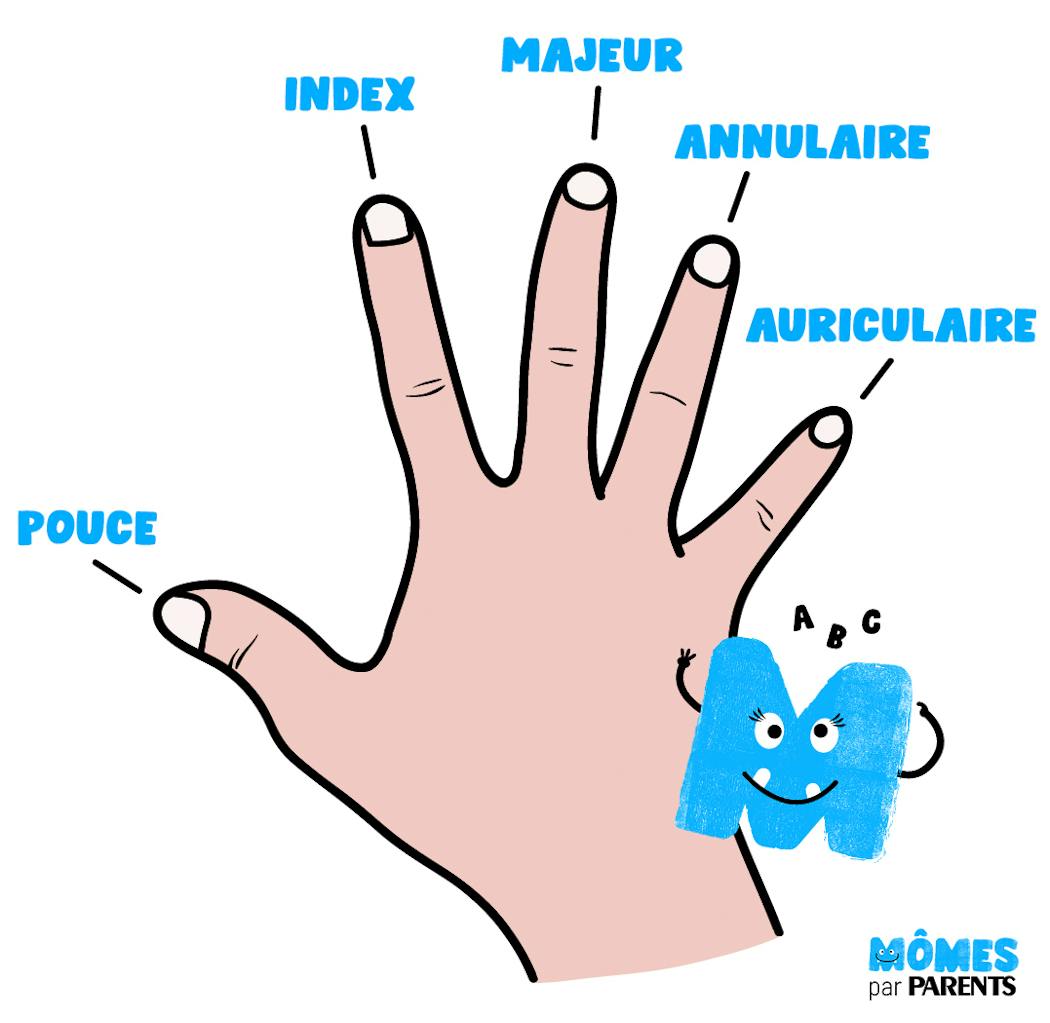 Quels sont les noms des cinq doigts de la main ?