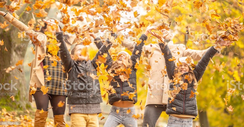 famille feuilles mortes automne