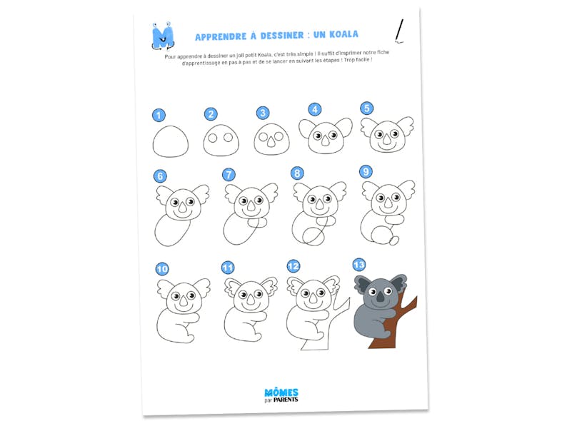 Fiche à imprimer - Apprendre à dessiner : un koala