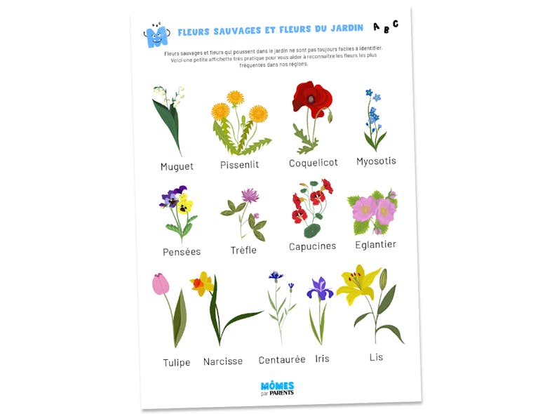 Affichette à imprimer - Fleurs sauvages et fleurs du jardin