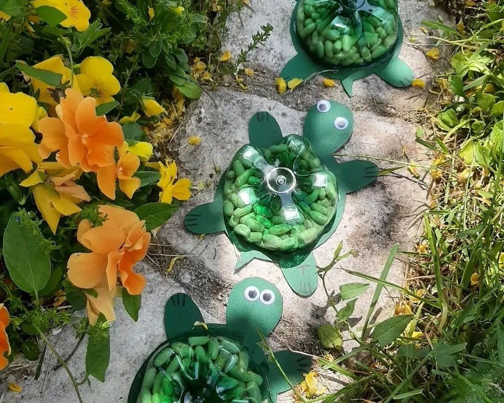 Des petites tortues en bouteilles en plastique