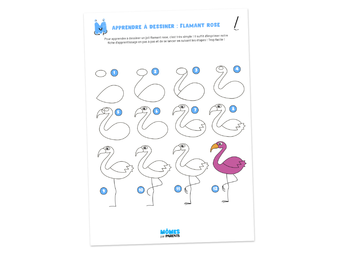 Dessiner un flamant rose étape par étape | MOMES